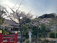 -鹤冈八幡宫