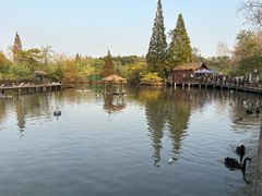 -溱湖国家湿地公园