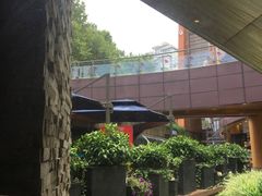 -bluefrog蓝蛙(水游城店)