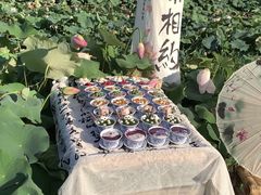 -七的湖·晚芳亭·阳澄湖农家菜·大闸蟹(莲花岛店)