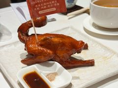 -侨美食家·41年地道粤菜(珠江新城店)