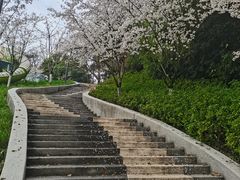 -杭州少年儿童公园