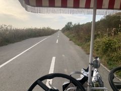 -盐城丹顶鹤湿地生态旅游区