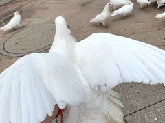 -鄂尔多斯野生动物园