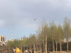 -五环公园
