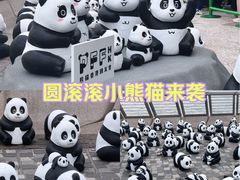 -星光大道