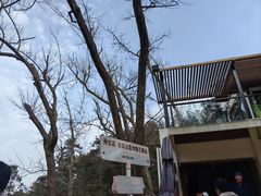 -冶父山国家森林公园