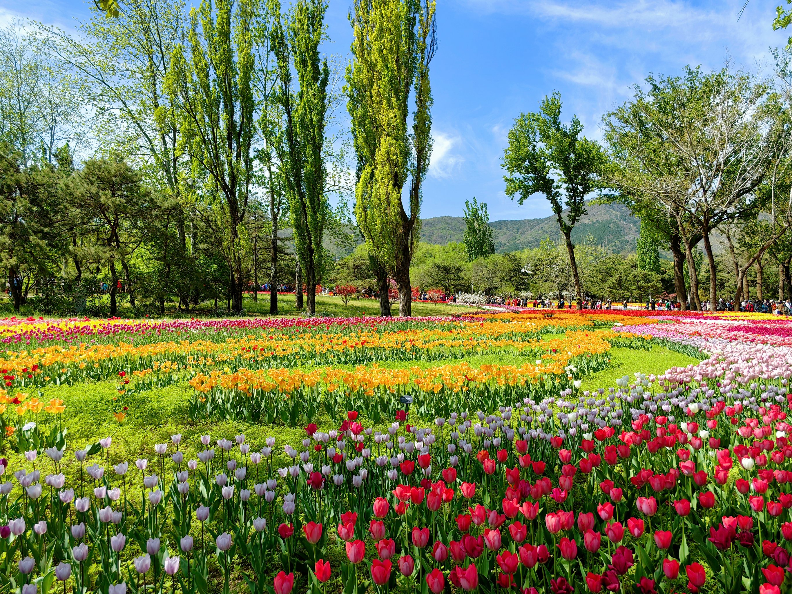 北京国家植物园规划图图片