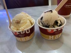 -哈根达斯(石家庄北国店)