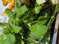 -野菌王•养生汤锅•野生菌火锅(大理漾濞路店)