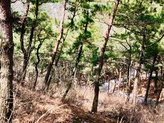 -燕窝岭