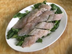 -金砂阿洲鱼册店