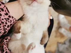 -iF摄影•全家福•证件照•形象照(南山店)