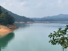-广州市流溪河国家森林公园