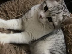 -武汉马哥孛罗酒店