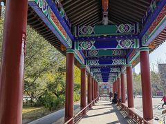 -莲花池公园