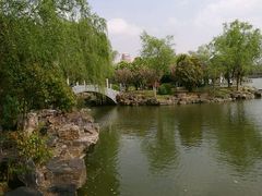 -紫薇公园