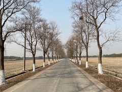 -嘉北郊野公园