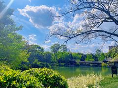 -仙海旅游度假区