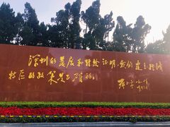 -莲花山公园
