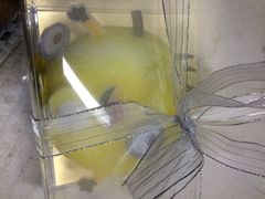 -菓树主题烘焙吧(五四西路店)