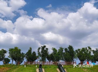 绝大部分西安人不知道的地方，有树有水人少环境还棒
