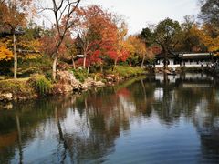 -吴越荣记·苏州菜·松鼠桂鱼(娄门景区店)