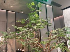 -绿茶餐厅(北京世纪金源店)