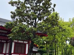 -大慈恩寺(大雁塔)