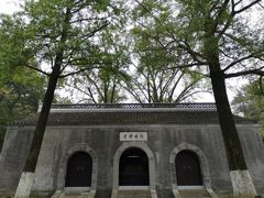 -镇江市南山风景名胜区竹林景区