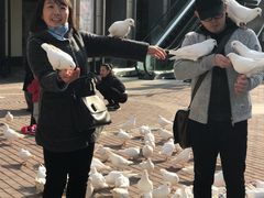 -王府井奥莱临潼小镇(临潼店)