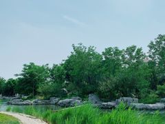 -绿岛公园(滨海新区)