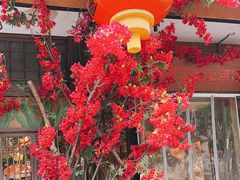 -老阿爸鲜鱼土菜(昆山花桥店)