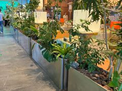 -巴黎春天(浦建店)