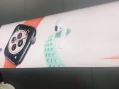 -Apple 零售店(Canton Road)