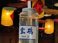 -艳阳天民俗村(公园路店)