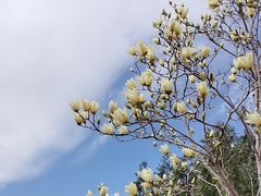 -绿堤公园