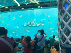 -瑞德姆美人鱼海底演艺主题餐厅(亚龙湾店)