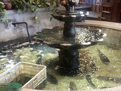 -万里闯关东铁锅炖菜馆(高新旗舰店)