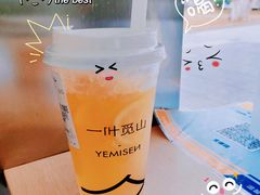 柠檬水仙-一叶觅山(半边街店)