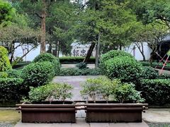 -岳王庙