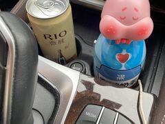 -枫花园汽车电影院(朝阳公园店)
