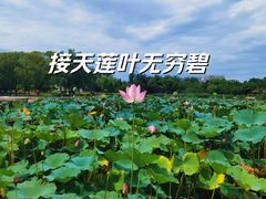 -太阳宫公园