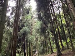 -青城山