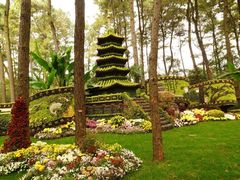 -杭州植物园
