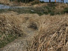 -南京市无想山景区