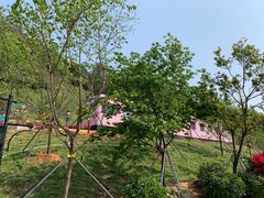 -小南山公园