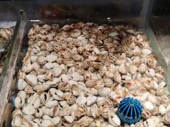 -加餐海鲜自助(宝龙一城店)