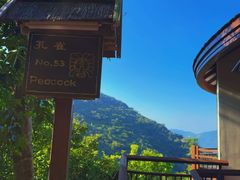 -三亚亚龙湾人间天堂鸟巢度假村