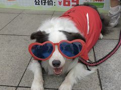 -中南南通体育会展中心